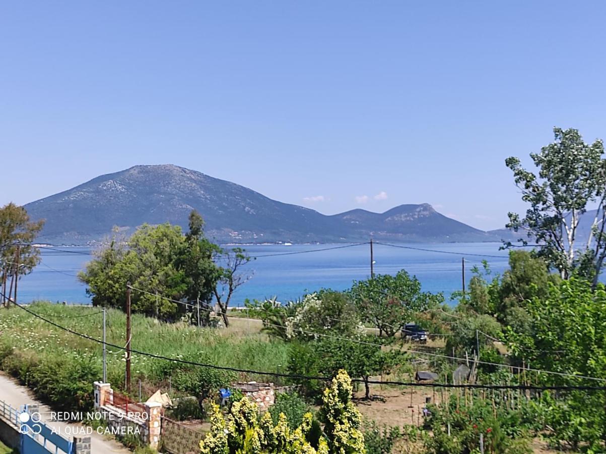 Agiokampos Luxurious Resort Λουτρά Αιδηψού Εξωτερικό φωτογραφία