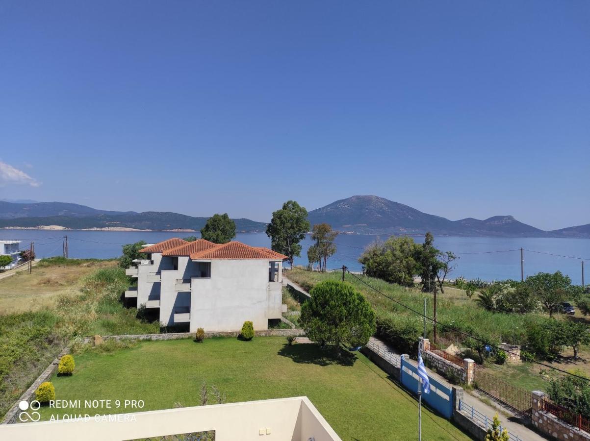 Agiokampos Luxurious Resort Λουτρά Αιδηψού Εξωτερικό φωτογραφία